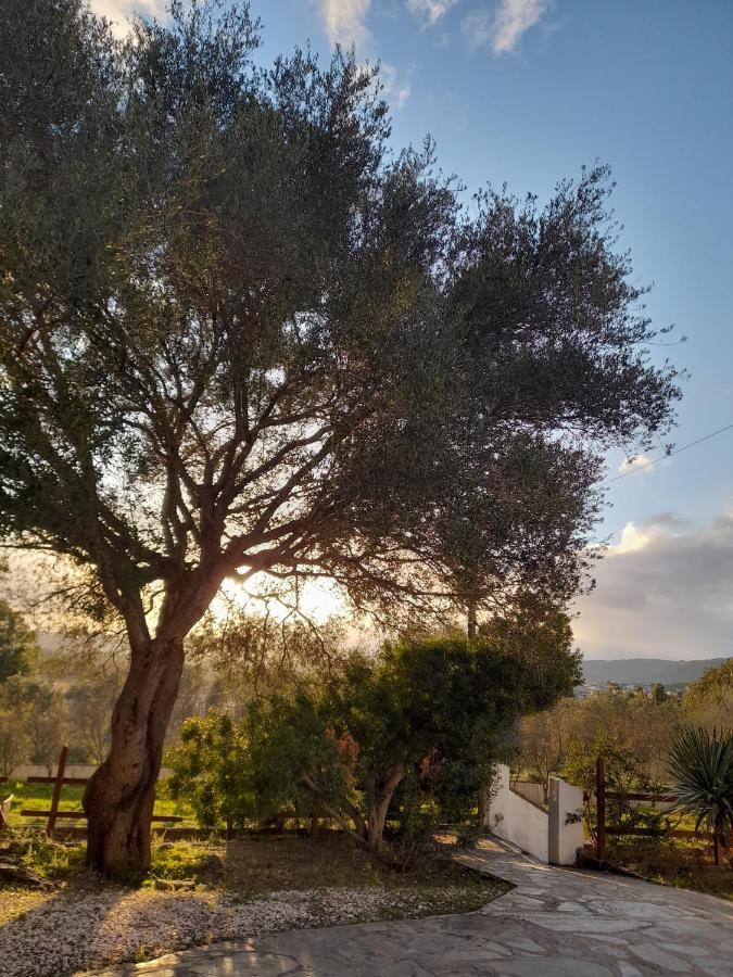 Agriturismo Palas De Serra Country Resort Onifai 외부 사진