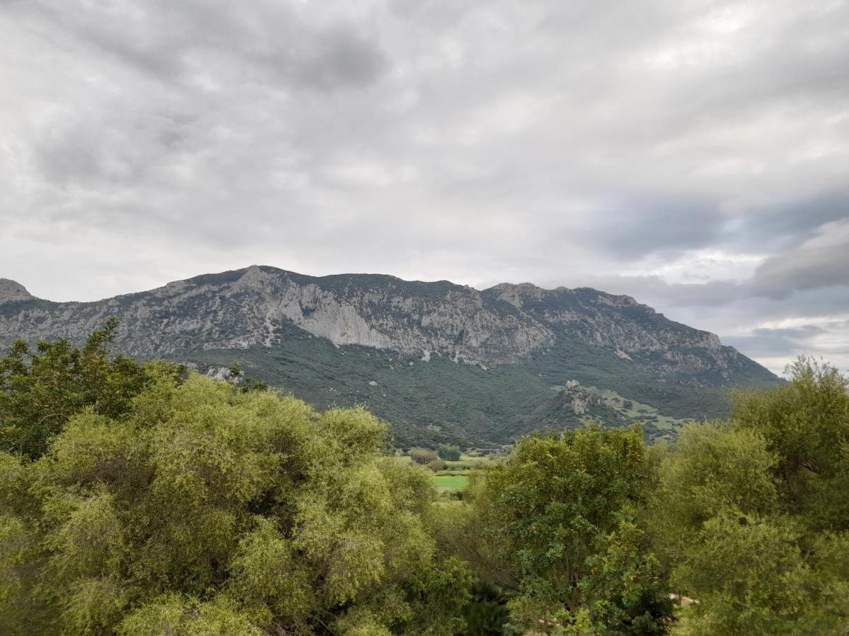 Agriturismo Palas De Serra Country Resort Onifai 외부 사진