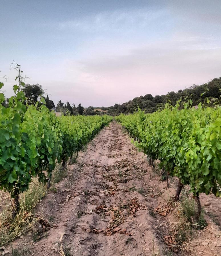 Agriturismo Palas De Serra Country Resort Onifai 외부 사진