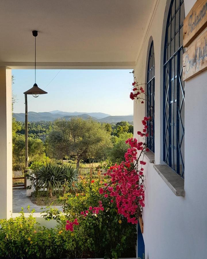 Agriturismo Palas De Serra Country Resort Onifai 외부 사진